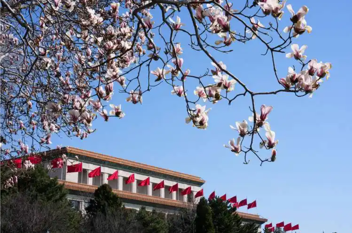 专业室内消毒收费